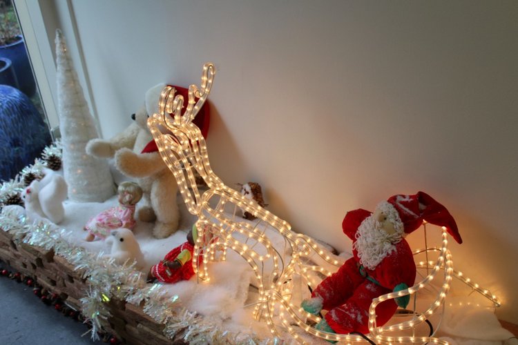 Наша зимняя встреча в магазине/клубе коллекционных кукол в Голландии