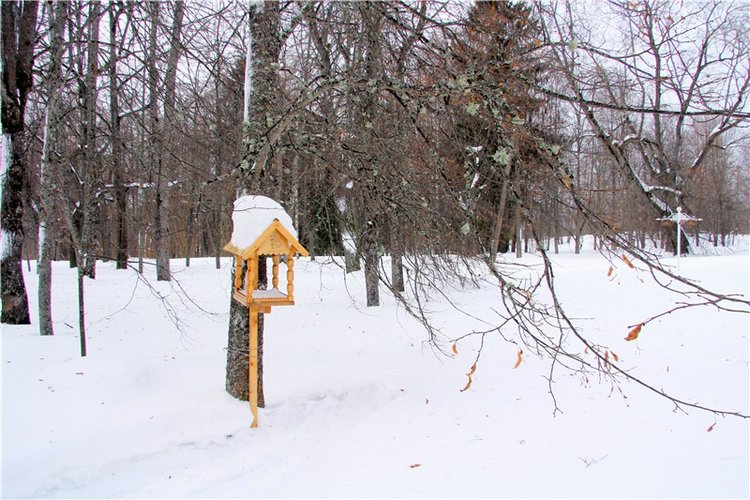 Снежный Март — Туризм и путешествия: фотоотчеты из поездок