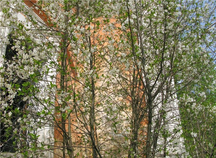 Усадьба Чукавино, Тверская область