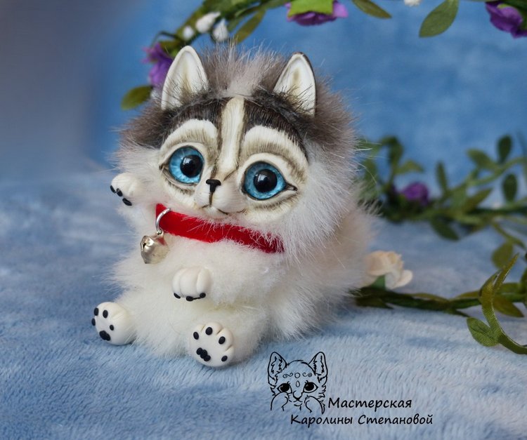 Малыш Хаски, крошка на ладошке. А может Хаски на Аляске? Или Хаски голубые глазки (фото 6)