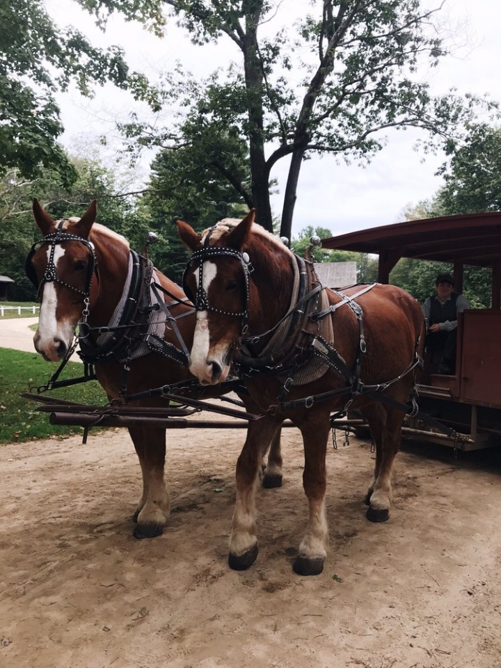 Прокатимся на машине времени? Поселение Старбридж. Новая Англия. 1830 год