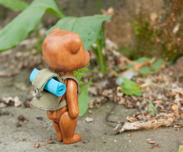 Деревянный мишка путешественник (фото 7)