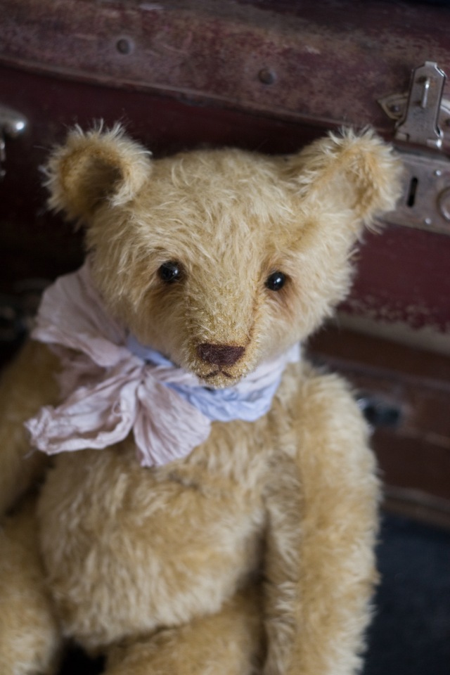 Большие мишки — Авторские мишки Тедди и друзья: фото (фото 2)