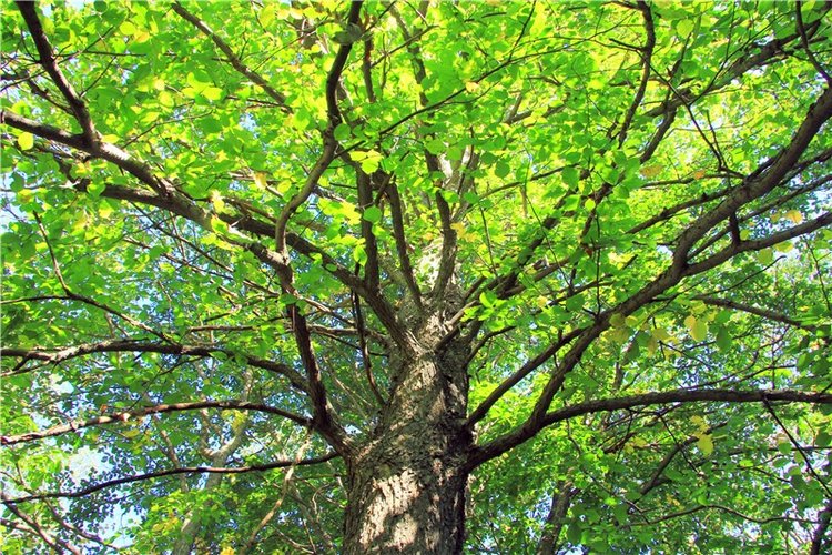 Старицкая Швейцария. Старицкие пещеры, д. Толпино, заключительная часть