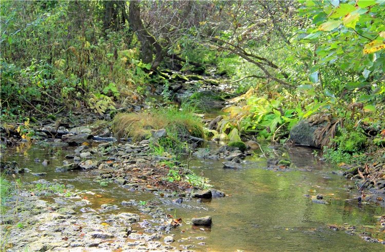 Старицкая Швейцария. Путешествие с Сашей, продолжение. Уникальная кукла от Сильвии Наттерер