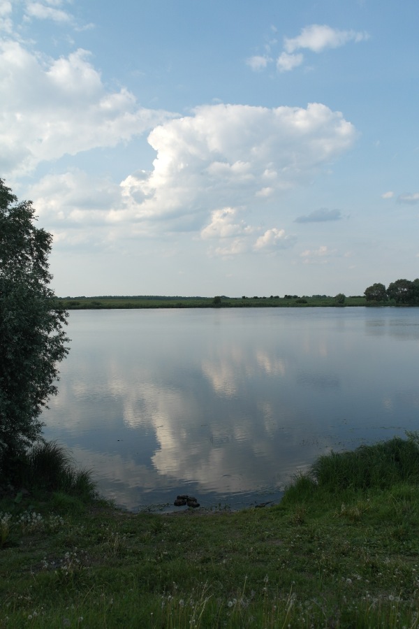 Есенинские тропинки. Часть 2