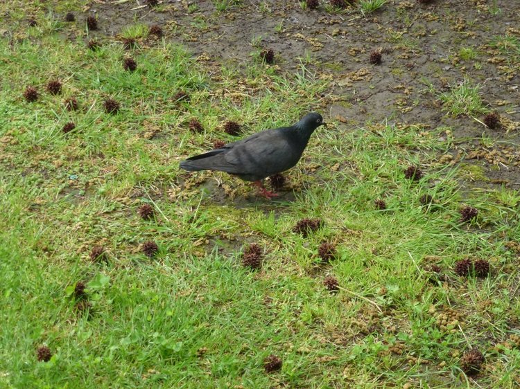 Сочи-Адлер: Южное Взморье - виртуальное путешествие по территории санатория