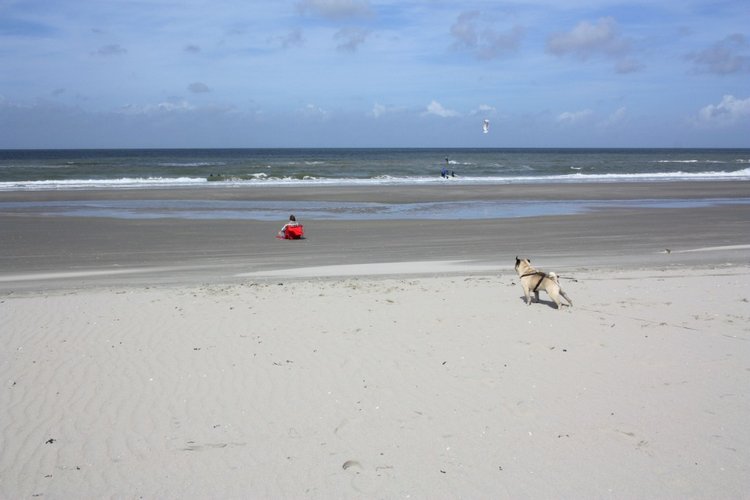 Мисс Бэйбики 2019. Ночная фотосессия в купальнике - часть первая | Бэйбики Мисс Бэйбики 2019. Ночная фотосессия в купальнике - часть первая