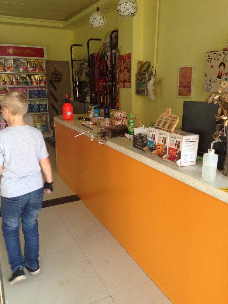 Курица не птица, Китай не заграница. Много фото, небольшая экскурсия