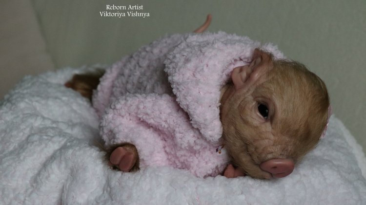 Поросенок Мила... куколка реборн Виктории Вишни