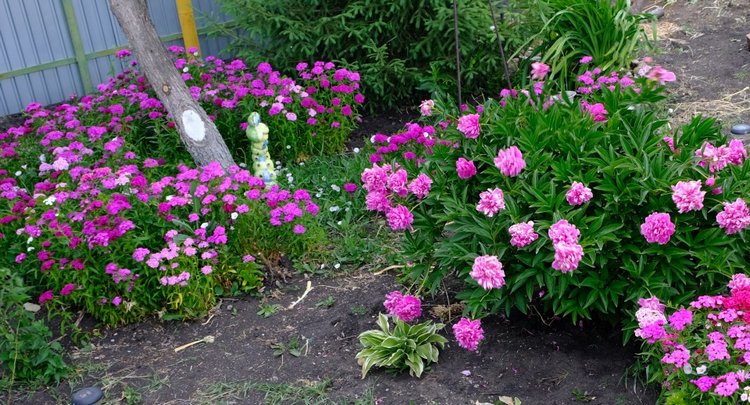 Прогулки с Сарой и Беллой RubiRed Galleria/Effner