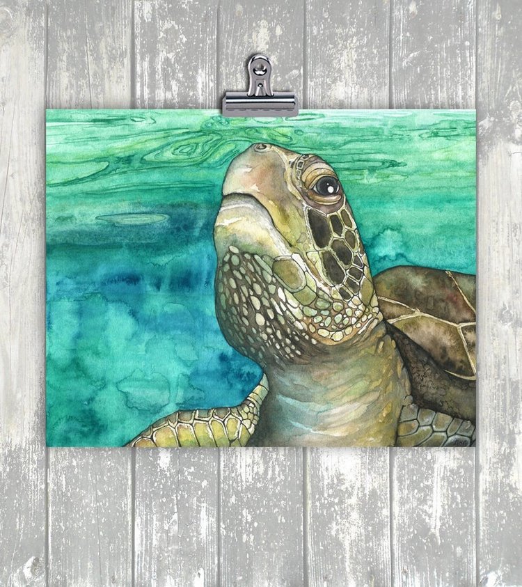 TheColorfulCatStudio - Иллюстрации подводного мира by Rachel Byler