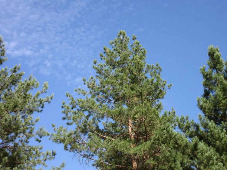 Горячее солнышко Кисловодска