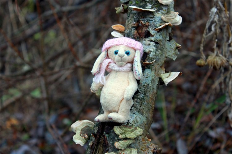 Братья Зайкины на Водопаде