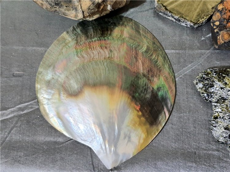 Выставка "Самоцветы Мира" в Твери, продолжение