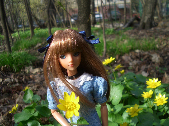 Мой J-doll-квартет — Куклы J (фото 7)