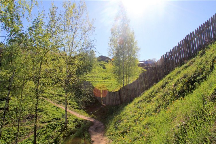 Одуванчиковая нежность, прогулка по Торжку