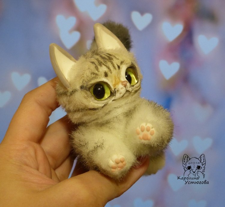 Американские короткошерстные котята (фото 8)