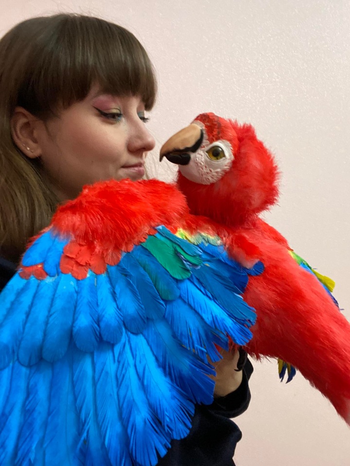 Попугай Ара — Игрушки в смешанной технике (мех и глина): Арт