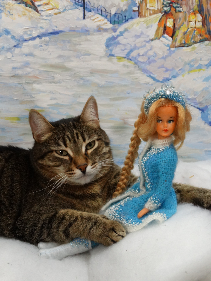 Кото-фото — В мире животных: смешные фото питомцев и зверей