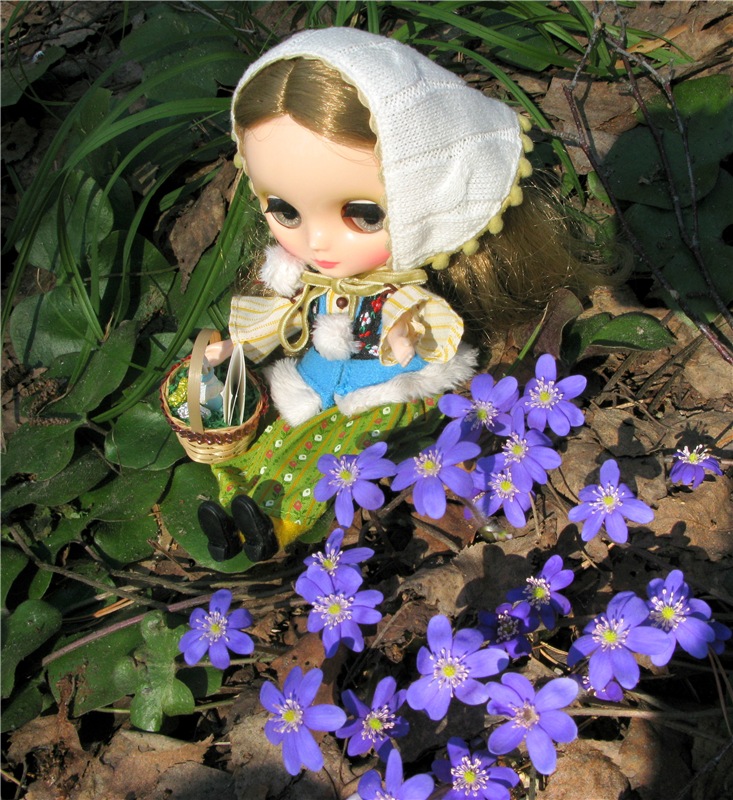 Застенчивая Алиса. Middie Blythe Doll Pebble Cakes & Shrinking Alice (фото 6)