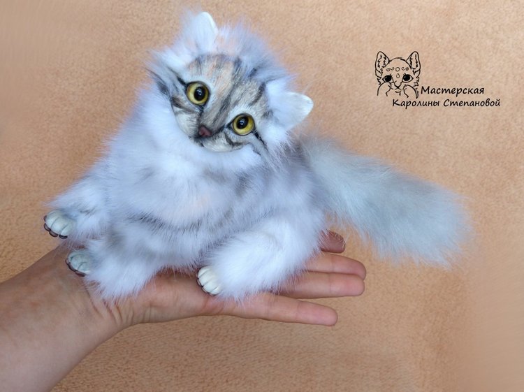 Кошечка Буся, портретная игрушка