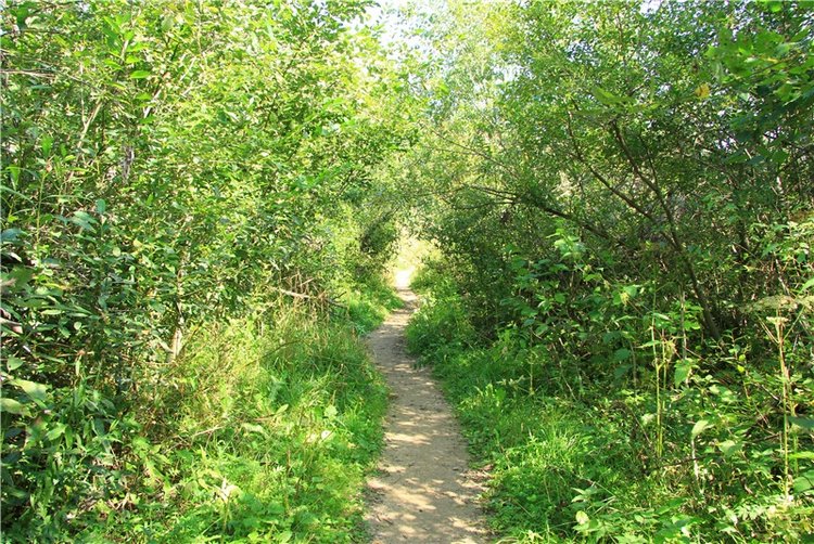 Инопланетянка Нийя. Custom Blythe Doll UFO Go Go Takara