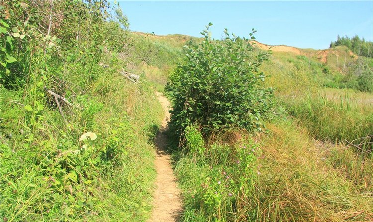 Инопланетянка Нийя. Custom Blythe Doll UFO Go Go Takara