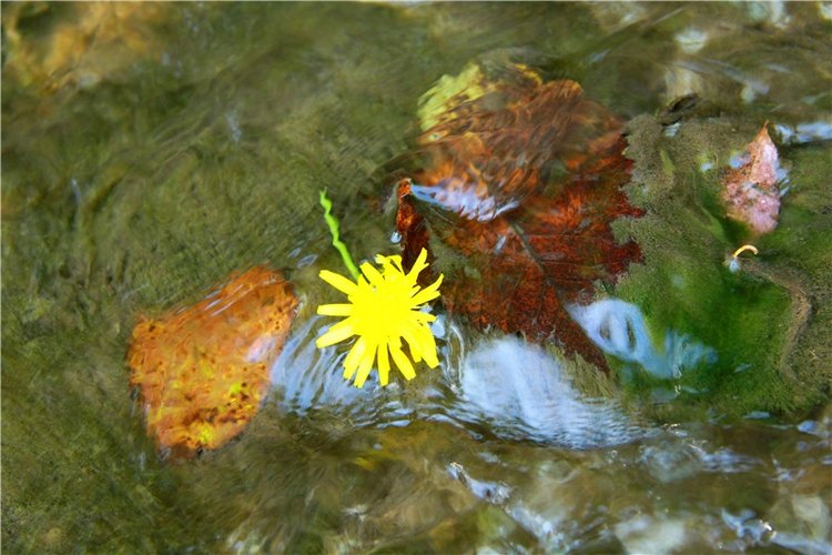 Старицкая Швейцария. Путешествие Мии. Minifee Miyu FairlyLand | Бэйбики Старицкая Швейцария. Путешествие Мии. Minifee Miyu FairlyLand