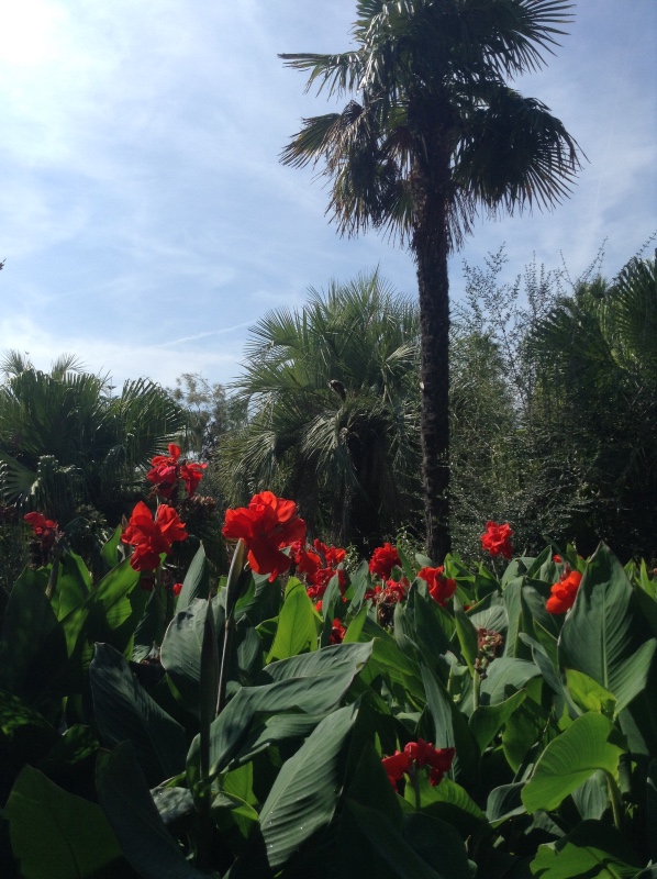 Путешествие Минуш в Испанию. Каталония. Ч.3. Райские сады