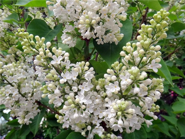 Милый мой город. Прогулка по Твери, продолжение