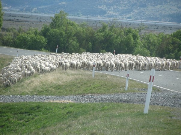 Увлекательное путешествие по Новой Зеландии