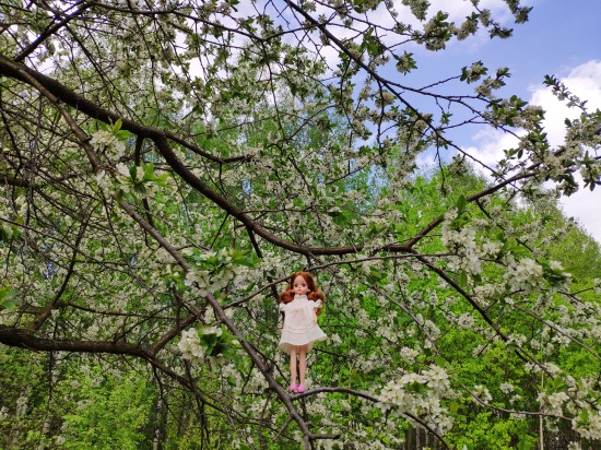 Прогулки с Ликкой — Куклы Takara Tomy (Такара): Licca (Ликка) (фото 3)