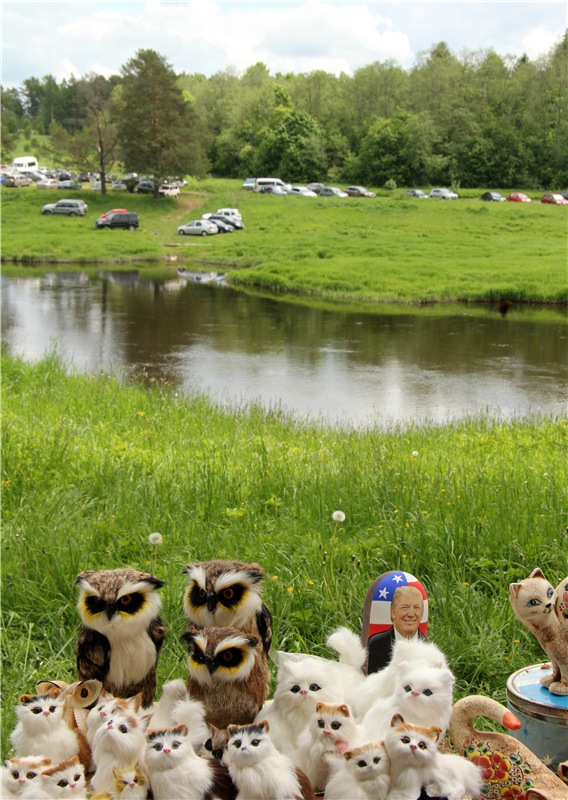 "Троицкие гуляния" в Василёво, 2017 год, продолжение. Архитектурно-этнографический музей под открытым небом "Василёво" (фото