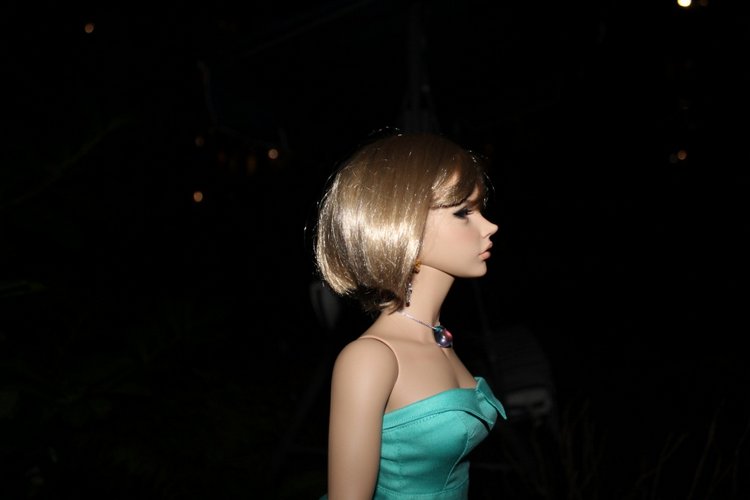 А вы любите смотреть на звезды? Вечерняя прогулка с Бианкой