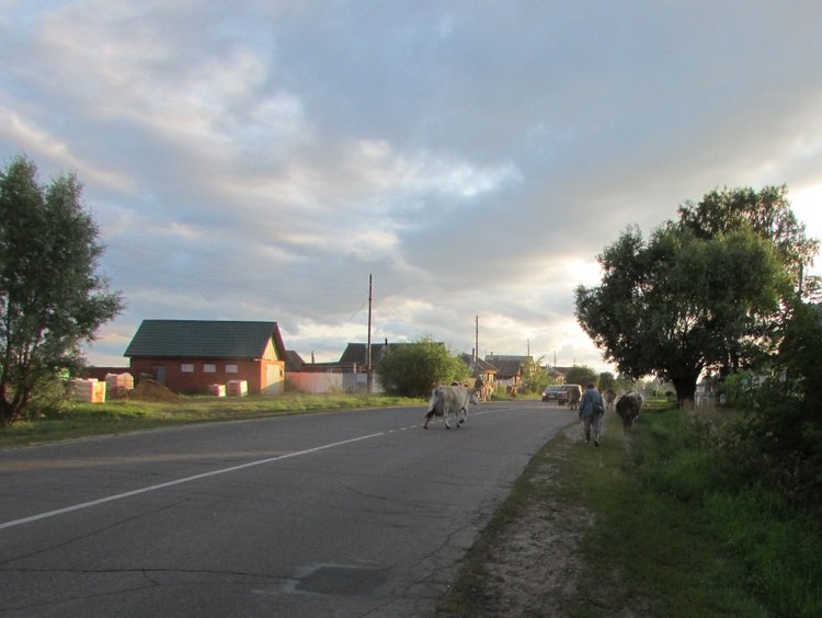 Путешествие в Нижегородскую область - часть 2 - Размещение в деревушке и прогулка по окресностям