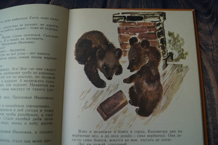 Книги детства моего — Культура