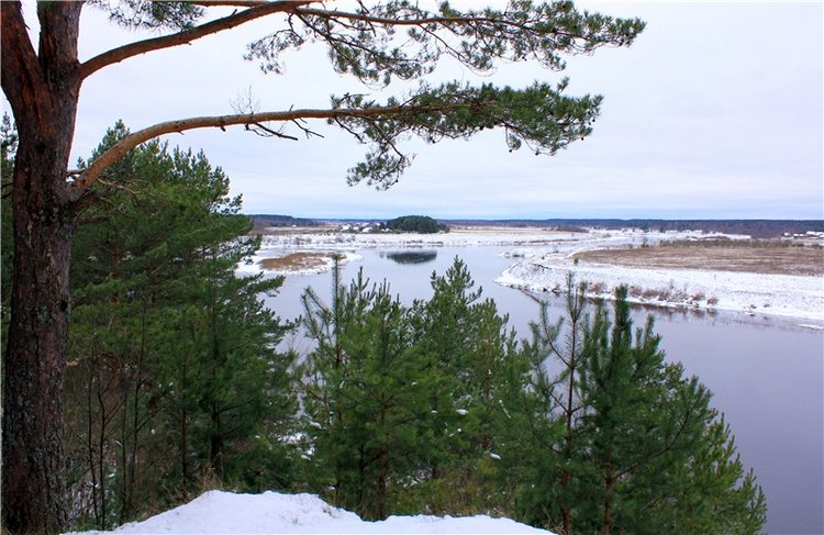 Бейли и Дий. Mini Bailey SK от Meadow dolls