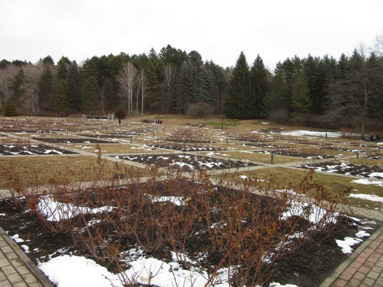 Кисловодские приключения. Шо, опять (фото 6)