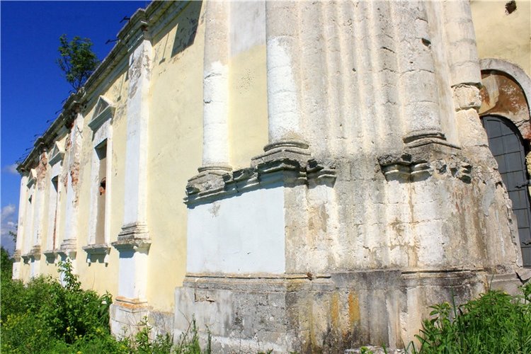 Эля в Иванишах. Twinkles Ella Chocolate (фото 8)