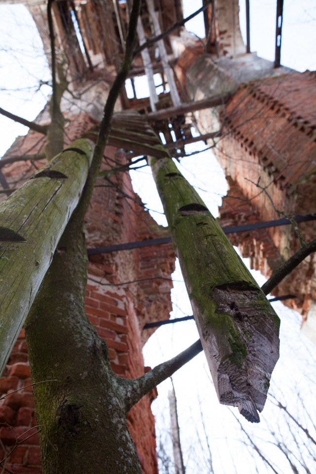 Масафира в урочище Юрцево