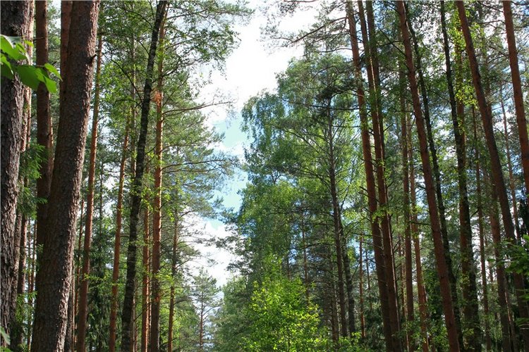 Путешествие Эли на красивый берег реки Волги