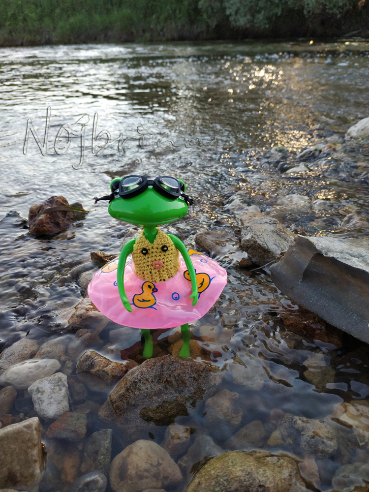 Миссис Бэйбики. Царевна - лягушка. Мастер-класс (фото 2)