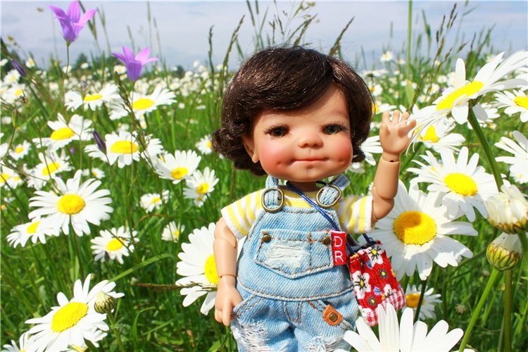 Ромашковый Июнь — Куклы Meadow dolls (Медовушки): BJD (БЖД)