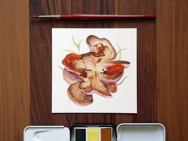 SnailMaidenStudio - Акварельные иллюстрации маленьких живых существ