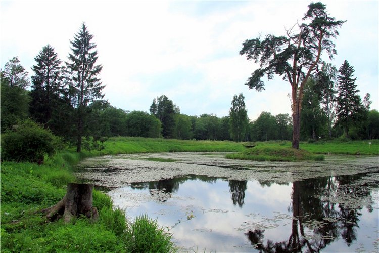 Путешествие Виолы в Усадьбу Знаменское-Раёк