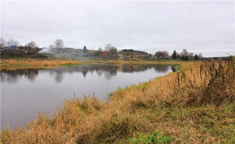 Имани на Тверце — Куклы Kaye Wiggs (Кайе Виггс): авторские BJD (БЖД) (фото 2)