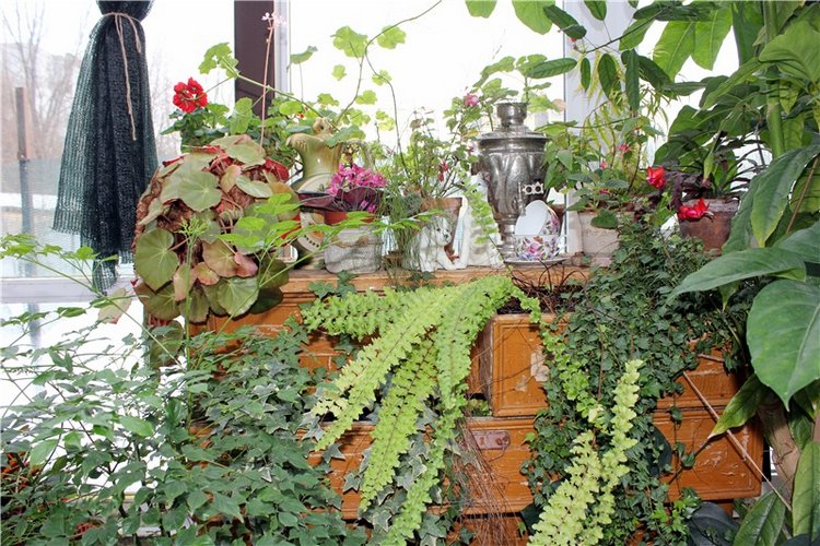 Тверской Ботанический Сад, продолжение | Бэйбики Тверской Ботанический Сад, продолжение