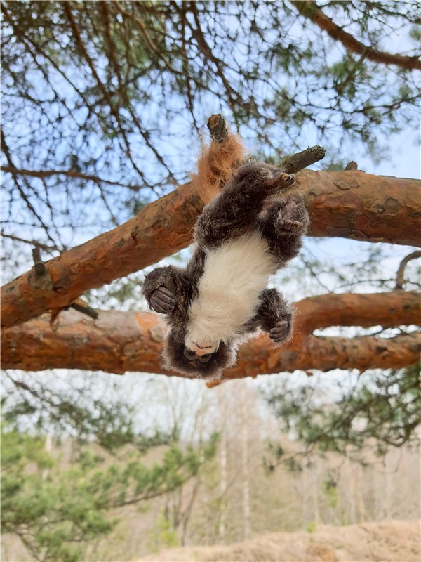 Путешествие Имани в ПанИку