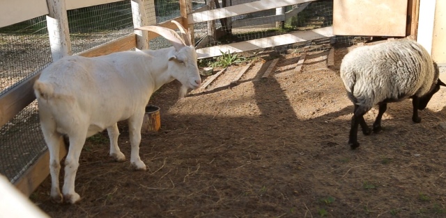 Как мы побывали в Некотором царстве ... с Mui-chan (фото 9)